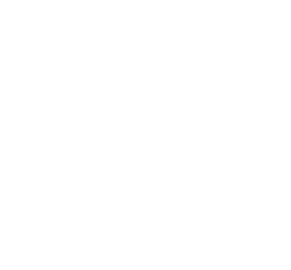Lider-Budowy Logo